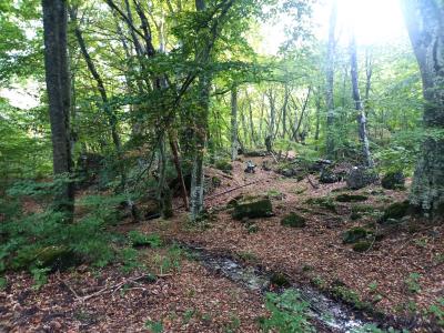 Прикрепленное изображение: 004.jpg